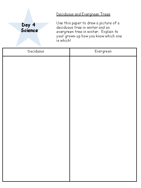 Deciduous and Evergreen Trees Day 4 Science Deciduous Use this paper to draw a