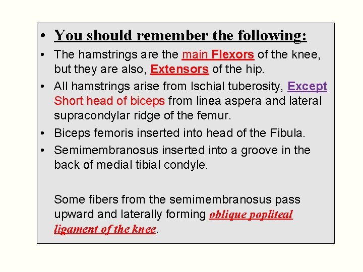  • You should remember the following: • The hamstrings are the main Flexors