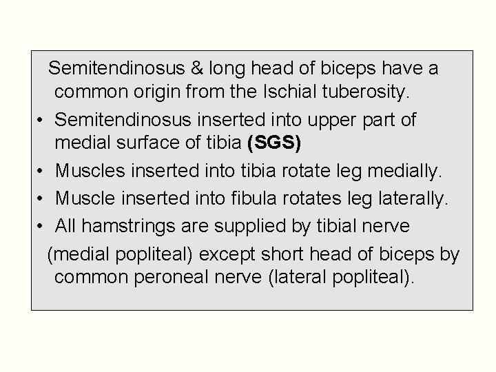 Semitendinosus & long head of biceps have a common origin from the Ischial tuberosity.