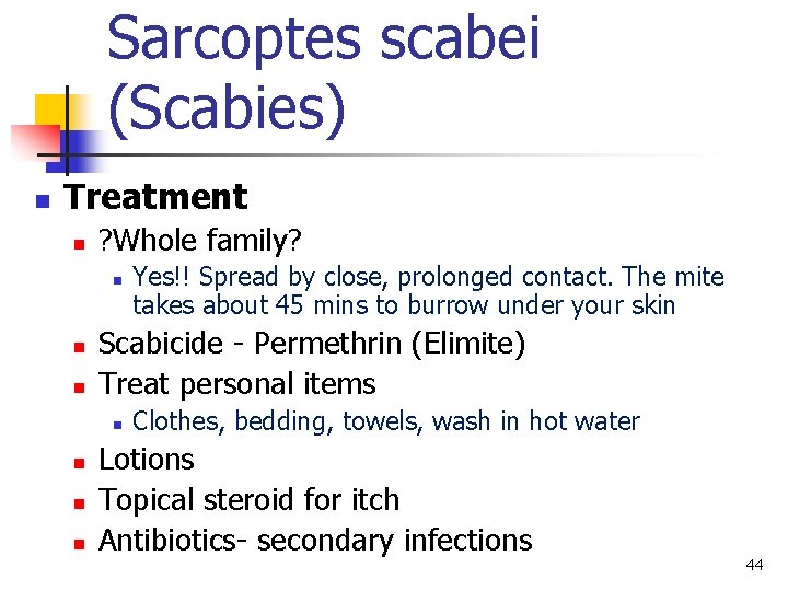 Sarcoptes scabei (Scabies) n Treatment n ? Whole family? n n n Scabicide -