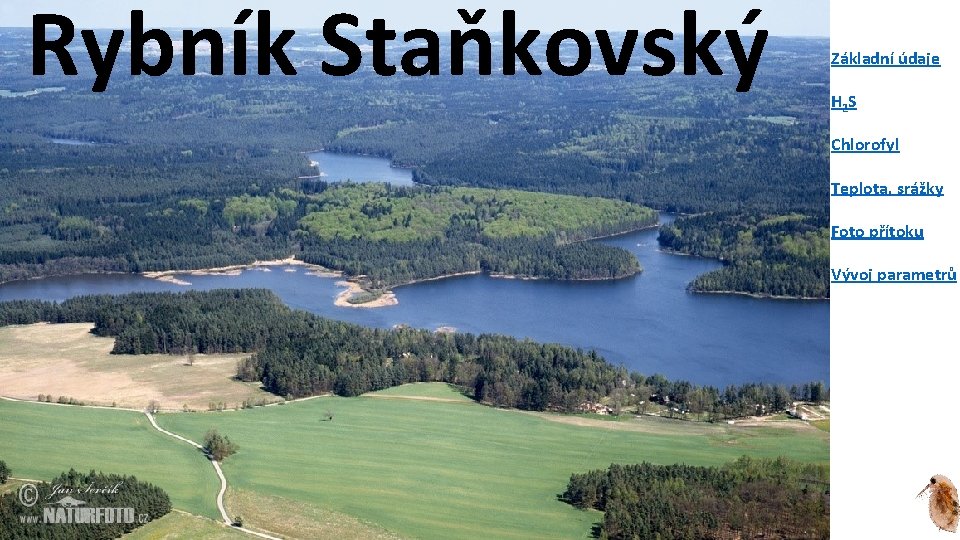 Rybník Staňkovský Základní údaje H 2 S Chlorofyl Teplota, srážky Foto přítoku Vývoj parametrů