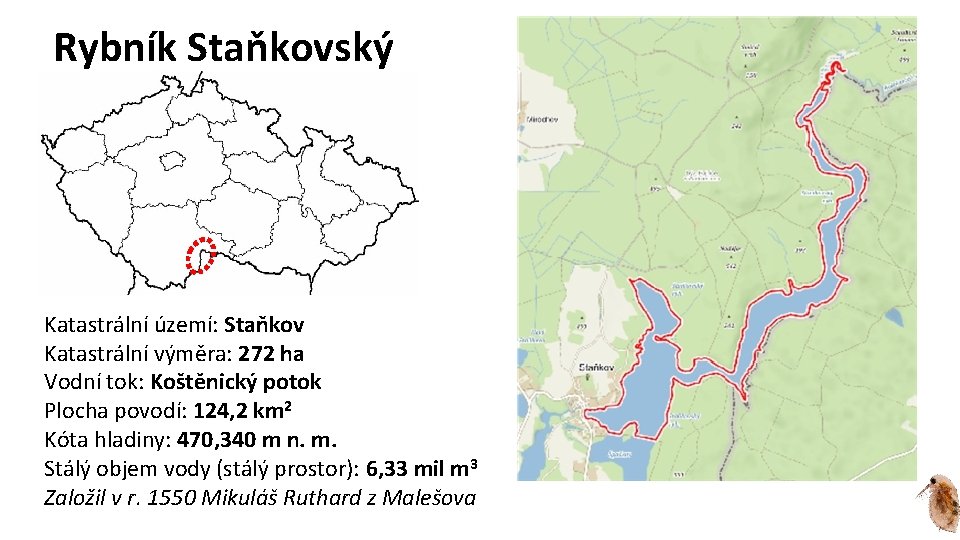 Rybník Staňkovský Katastrální území: Staňkov Katastrální výměra: 272 ha Vodní tok: Koštěnický potok Plocha