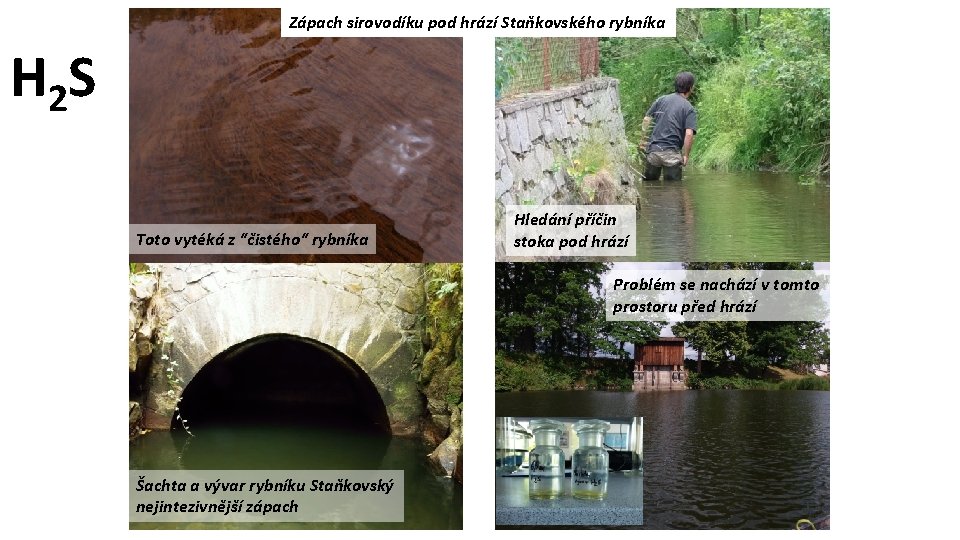 Zápach sirovodíku pod hrází Staňkovského rybníka H 2 S Toto vytéká z “čistého“ rybníka