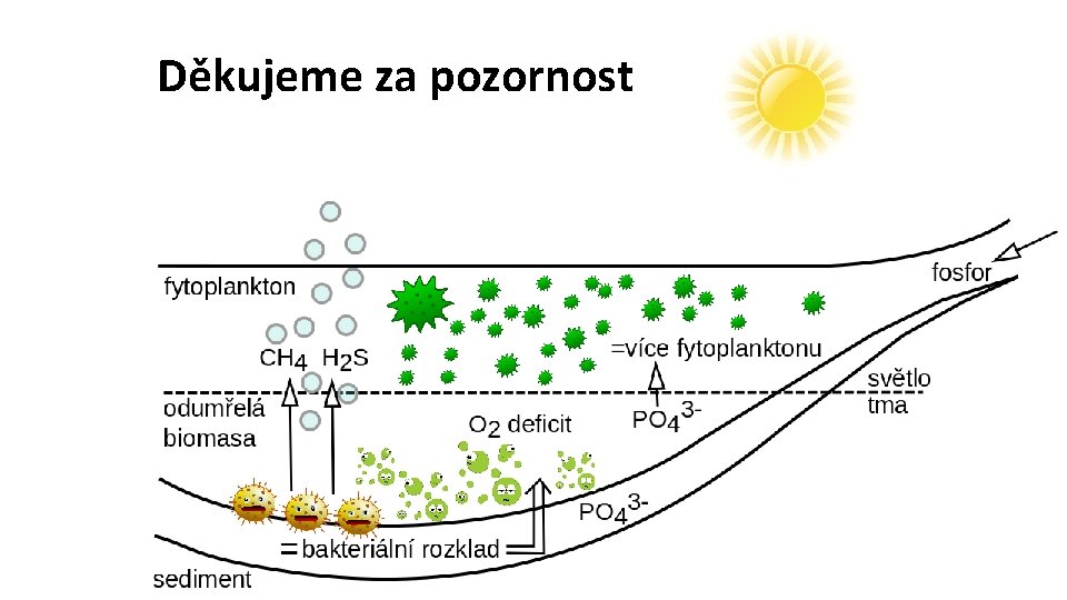 Děkujeme za pozornost 