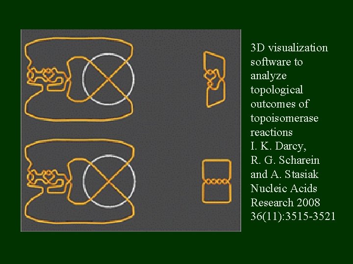 3 D visualization software to analyze topological outcomes of topoisomerase reactions I. K. Darcy,