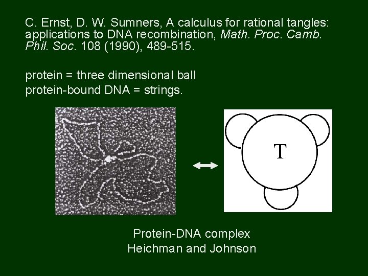 C. Ernst, D. W. Sumners, A calculus for rational tangles: applications to DNA recombination,