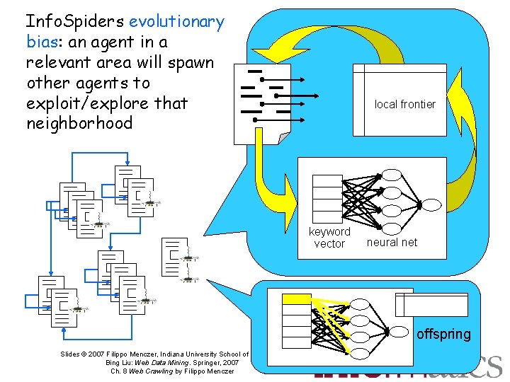 Info. Spiders evolutionary bias: an agent in a relevant area will spawn other agents