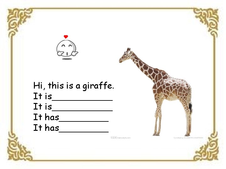 Hi, this is a giraffe. It is___________ It has_________ 