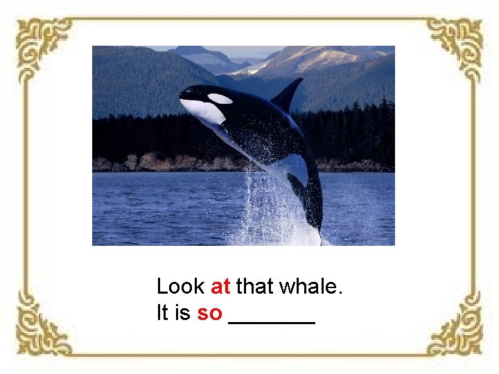 Look at that whale. It is so _______ 