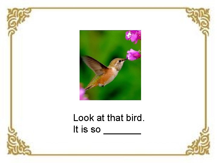 Look at that bird. It is so _______ 