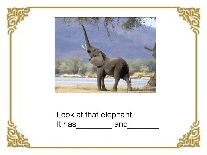 Look at that elephant. It has____ and_______ 