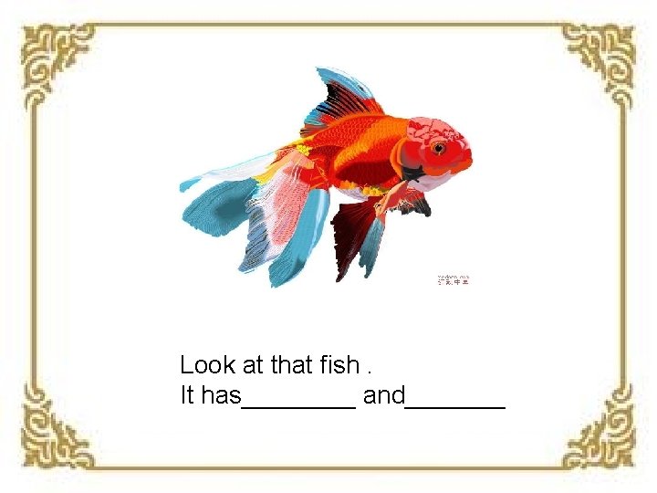 Look at that fish. It has____ and_______ 