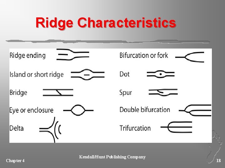 Ridge Characteristics Chapter 4 Kendall/Hunt Publishing Company 18 