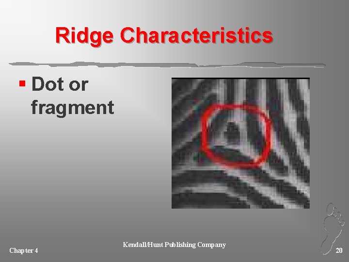 Ridge Characteristics § Dot or fragment Chapter 4 Kendall/Hunt Publishing Company 20 