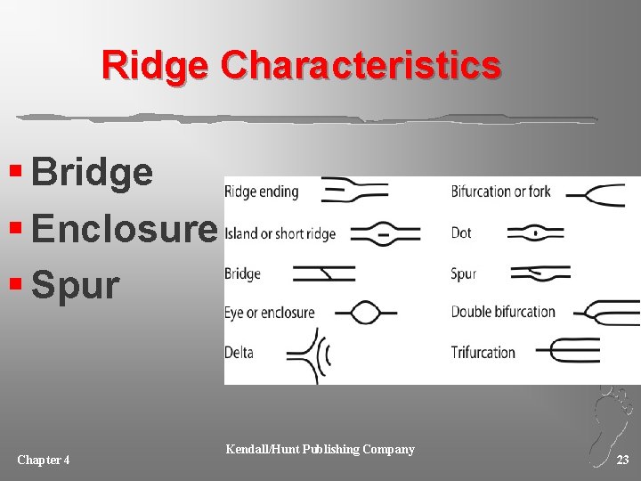 Ridge Characteristics § Bridge § Enclosure § Spur Chapter 4 Kendall/Hunt Publishing Company 23