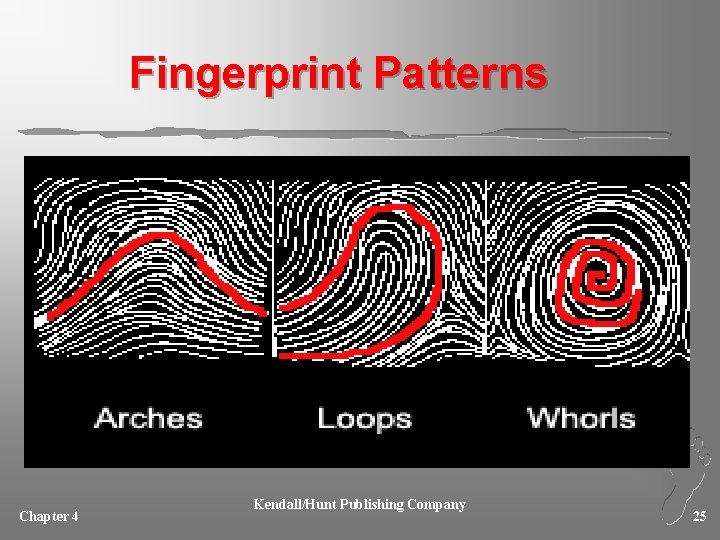 Fingerprint Patterns Chapter 4 Kendall/Hunt Publishing Company 25 