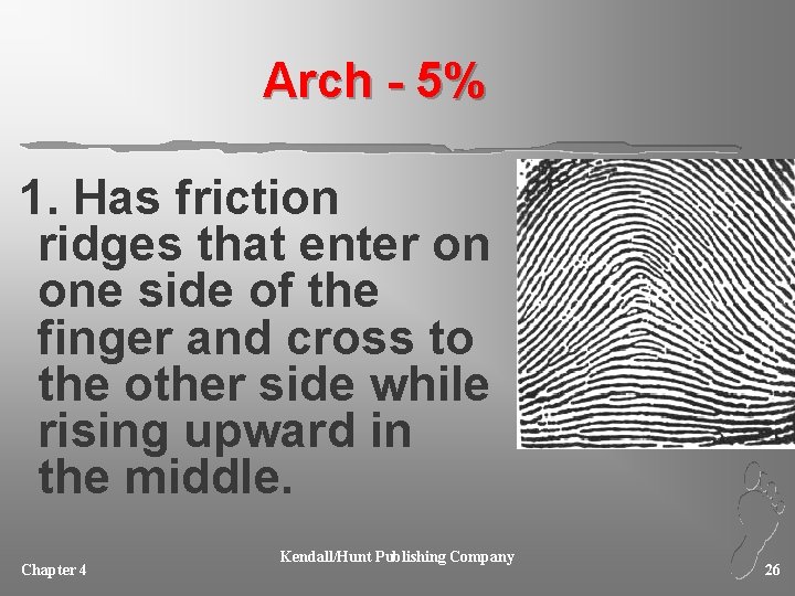 Arch - 5% 1. Has friction ridges that enter on one side of the