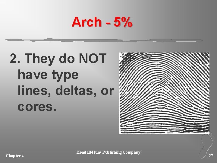 Arch - 5% 2. They do NOT have type lines, deltas, or cores. Chapter