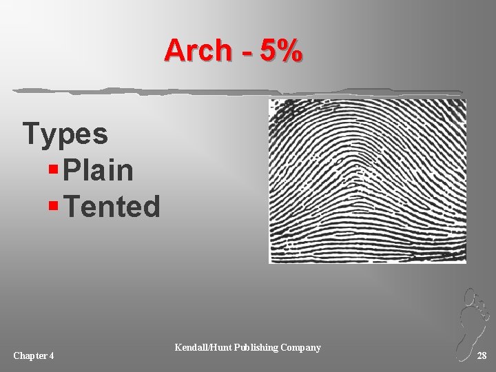 Arch - 5% Types § Plain § Tented Chapter 4 Kendall/Hunt Publishing Company 28