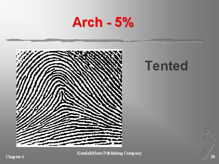 Arch - 5% Tented Chapter 4 Kendall/Hunt Publishing Company 30 