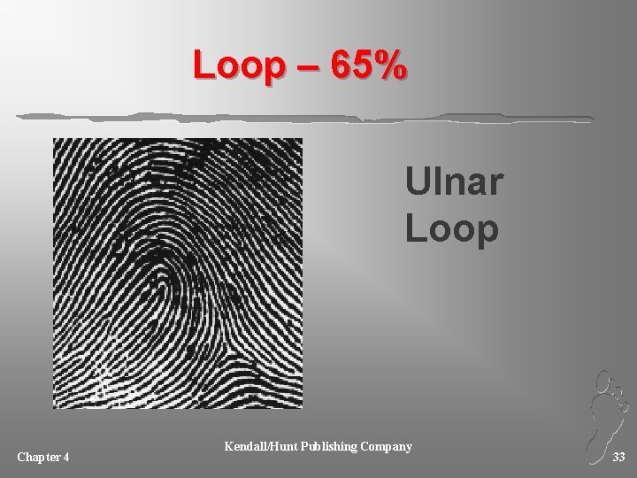 Loop – 65% Ulnar Loop Chapter 4 Kendall/Hunt Publishing Company 33 