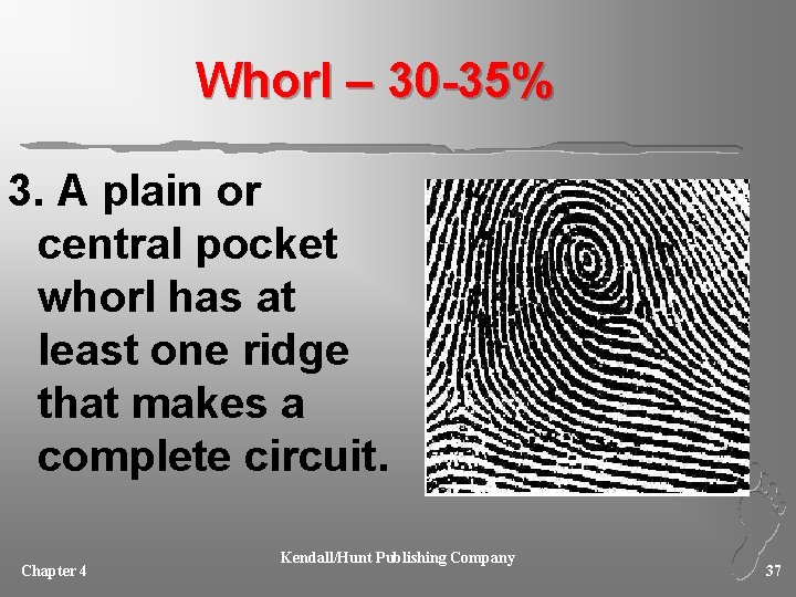 Whorl – 30 -35% 3. A plain or central pocket whorl has at least