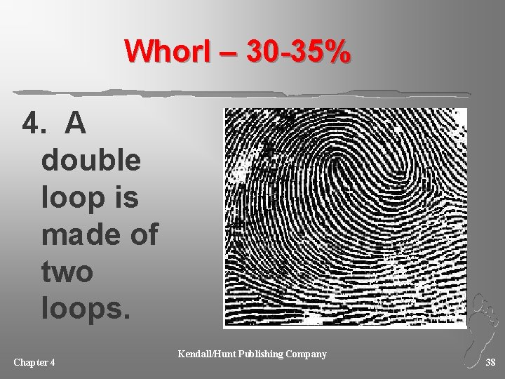 Whorl – 30 -35% 4. A double loop is made of two loops. Chapter