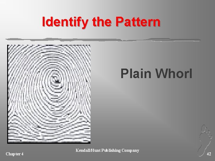 Identify the Pattern Plain Whorl Chapter 4 Kendall/Hunt Publishing Company 42 