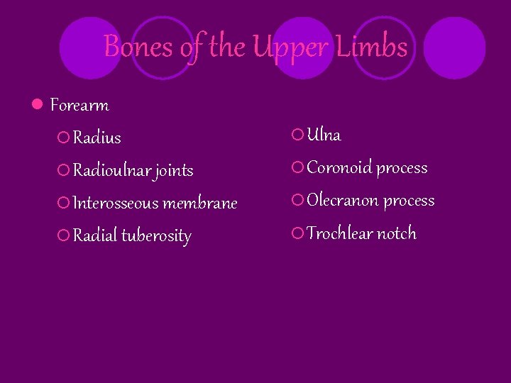 Bones of the Upper Limbs l Forearm ¡ Radius ¡ Ulna ¡ Radioulnar joints