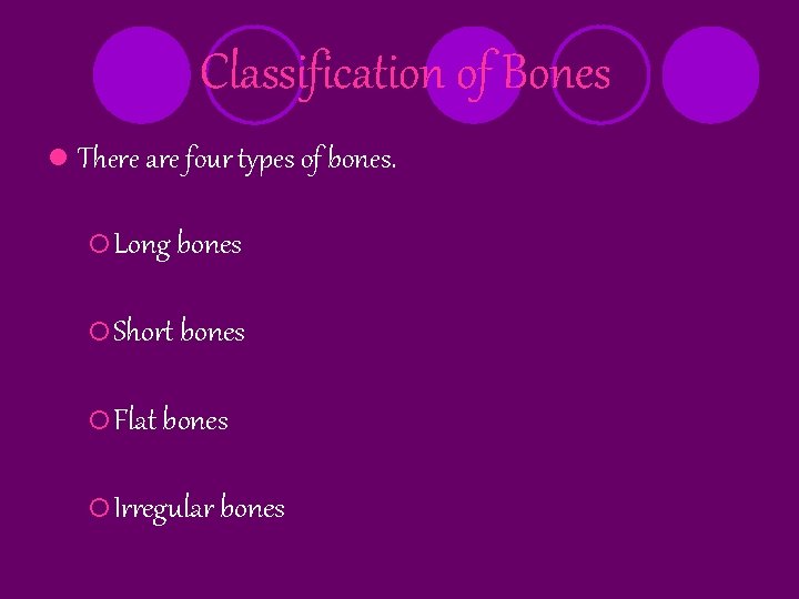 Classification of Bones l There are four types of bones. ¡ Long bones ¡