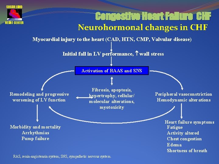 SUGAR LAND Congestive Heart Failure CHF HEART CENTER Neurohormonal changes in CHF Myocardial injury