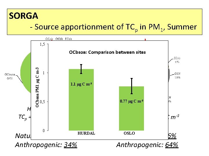 SORGA - Source apportionment of TCp in PM 1, Summer 1, 5 OCbsoa PM