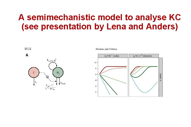 A semimechanistic model to analyse KC (see presentation by Lena and Anders) 