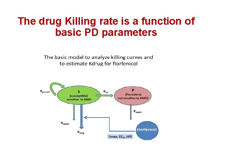 The drug Killing rate is a function of basic PD parameters 