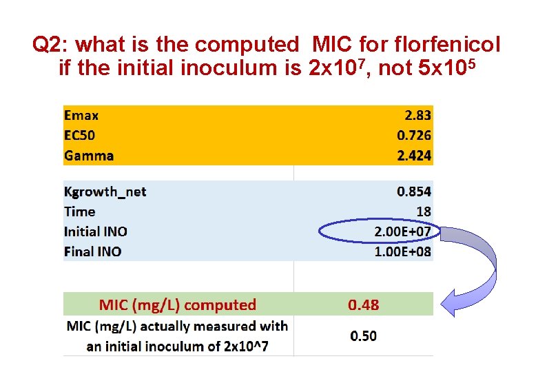 Q 2: what is the computed MIC for florfenicol if the initial inoculum is