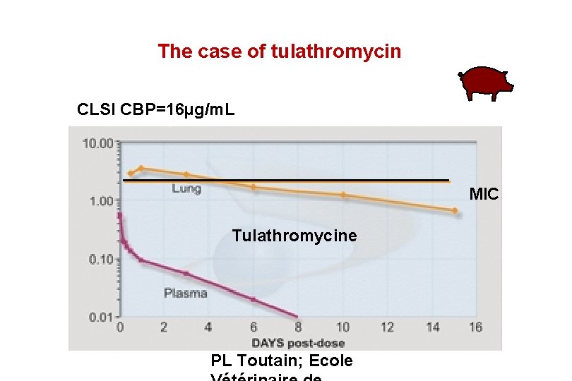 The case of tulathromycin CLSI CBP=16µg/m. L MIC Tulathromycine PL Toutain; Ecole 