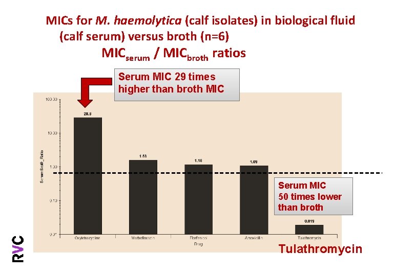 MICs for M. haemolytica (calf isolates) in biological fluid (calf serum) versus broth (n=6)