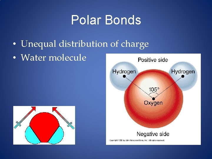 Polar Bonds • Unequal distribution of charge • Water molecule 