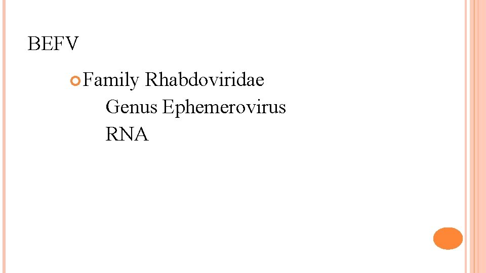BEFV Family Rhabdoviridae Genus Ephemerovirus RNA 