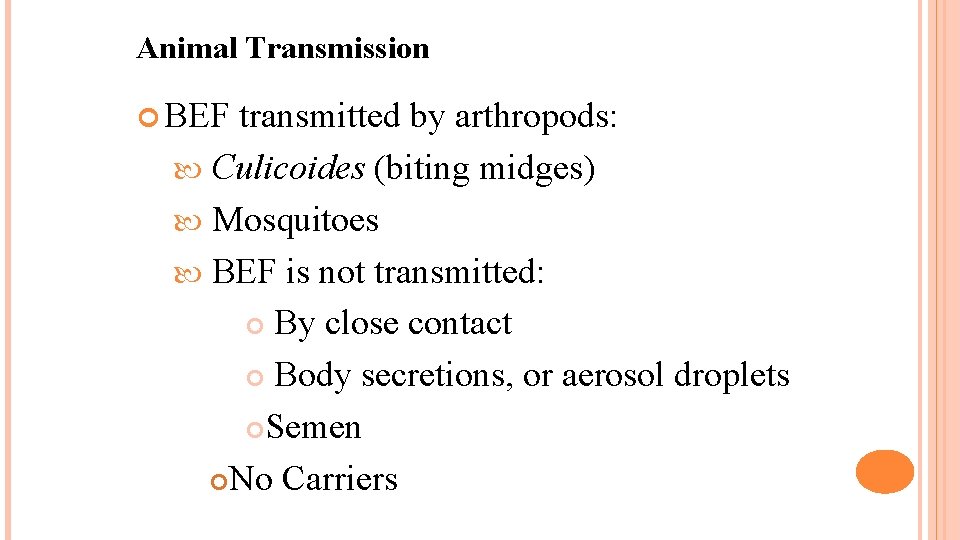 Animal Transmission BEF transmitted by arthropods: Culicoides (biting midges) Mosquitoes BEF is not transmitted: