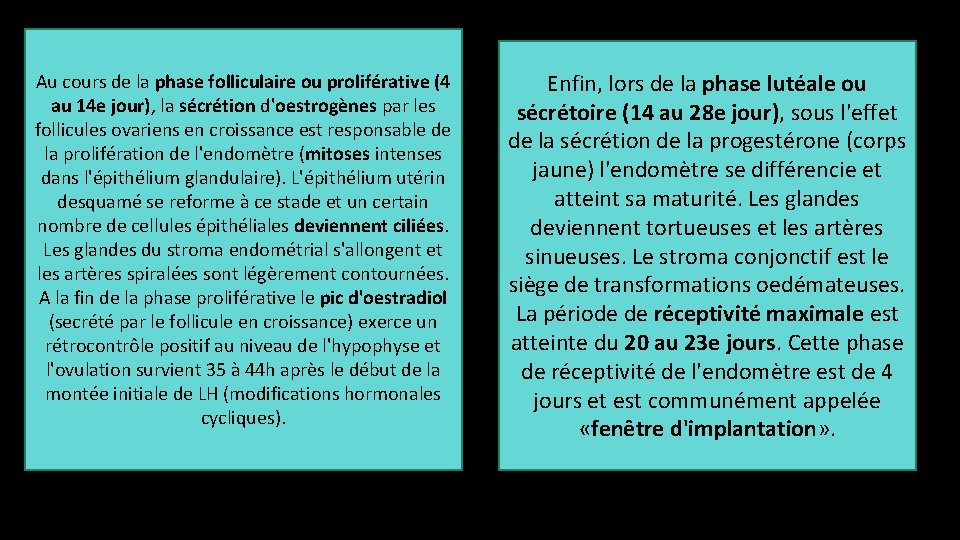 Au cours de la phase folliculaire ou proliférative (4 au 14 e jour), la