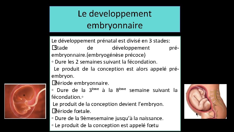 Le developpement embryonnaire Le développement prénatal est divisé en 3 stades: �Stade de développement