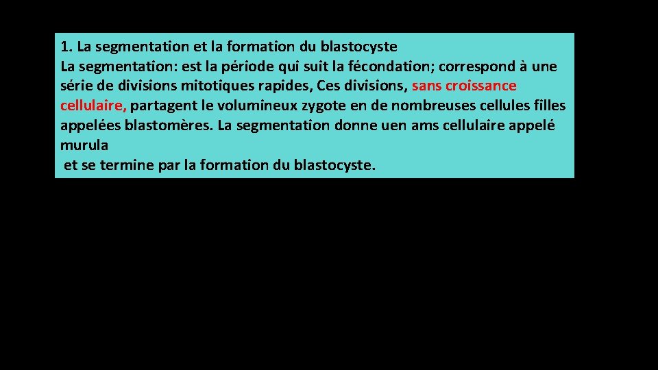 1. La segmentation et la formation du blastocyste La segmentation: est la période qui