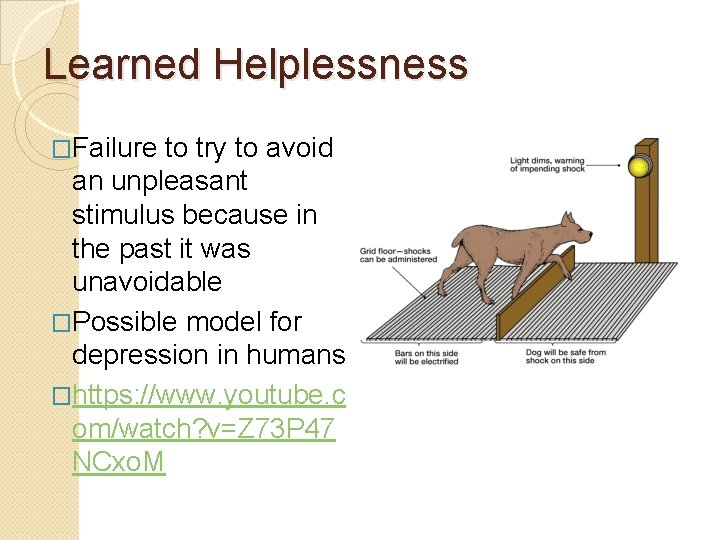 Learned Helplessness �Failure to try to avoid an unpleasant stimulus because in the past