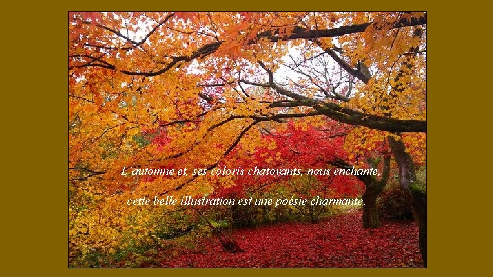 L’automne et, ses coloris chatoyants, nous enchante, cette belle illustration est une poésie charmante.