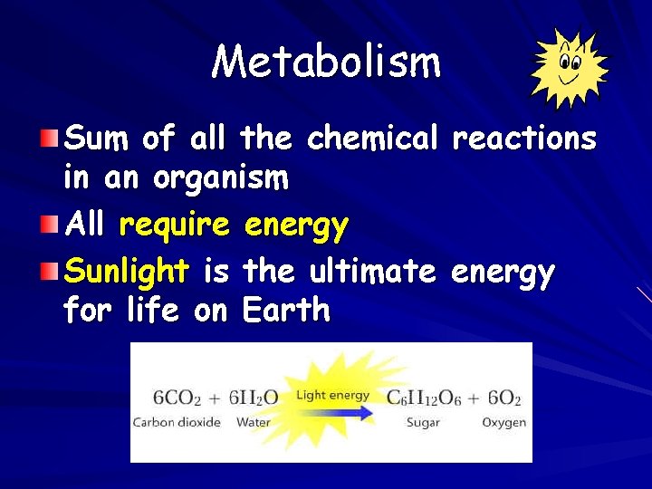 Metabolism Sum of all the chemical in an organism All require energy Sunlight is