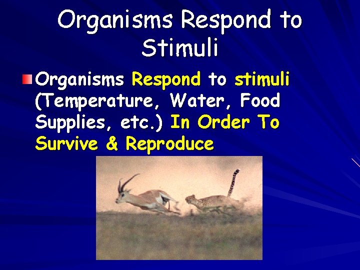Organisms Respond to Stimuli Organisms Respond to stimuli (Temperature, Water, Food Supplies, etc. )