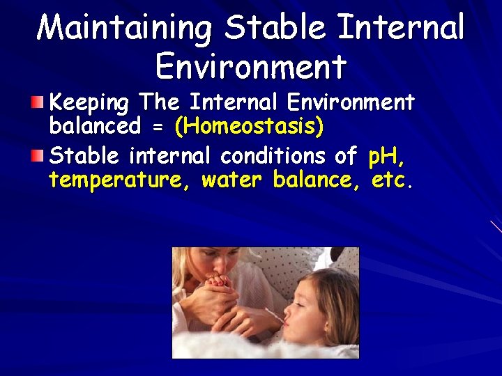 Maintaining Stable Internal Environment Keeping The Internal Environment balanced = (Homeostasis) Stable internal conditions