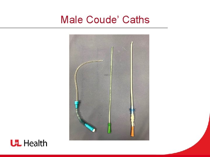 Male Coude’ Caths 
