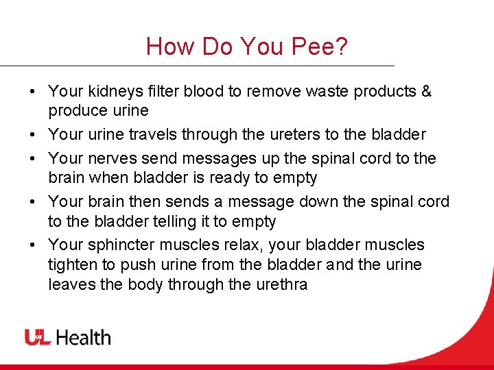 How Do You Pee? • Your kidneys filter blood to remove waste products &